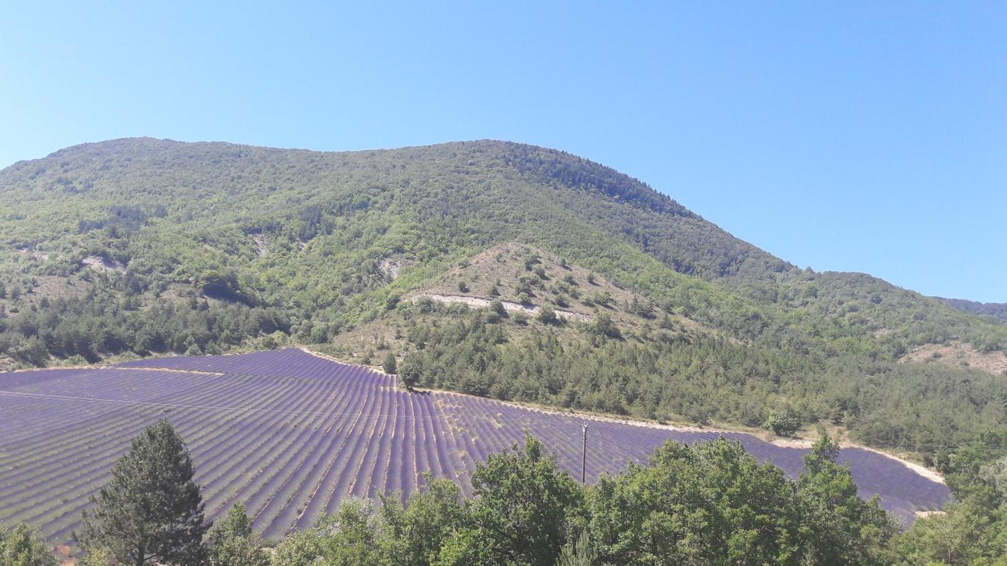 Gite En Haute Provence Montfroc Экстерьер фото